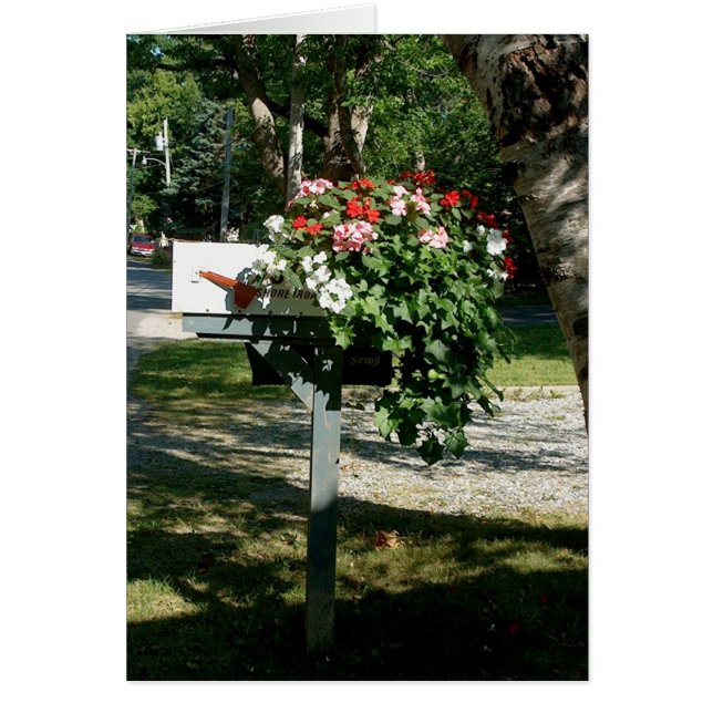 Cartão Flores no Correio (Frente)