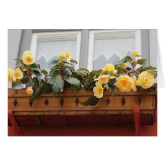 Cartão Flores numa Caixa de Janela