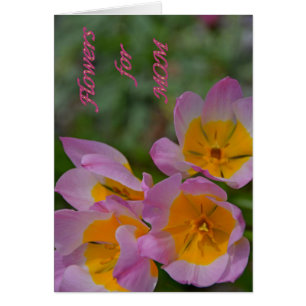 Cartão Flores para a mãe