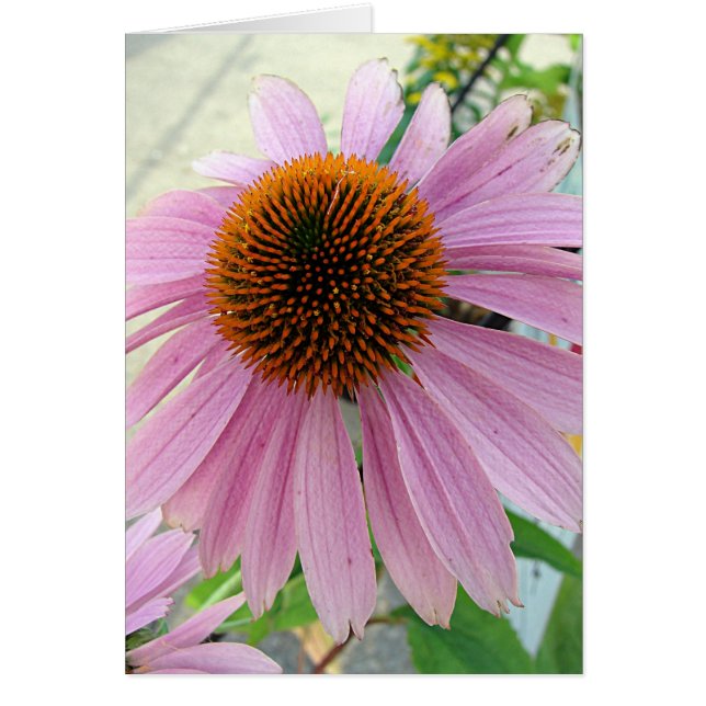 Cartão Flores para venda (Frente)
