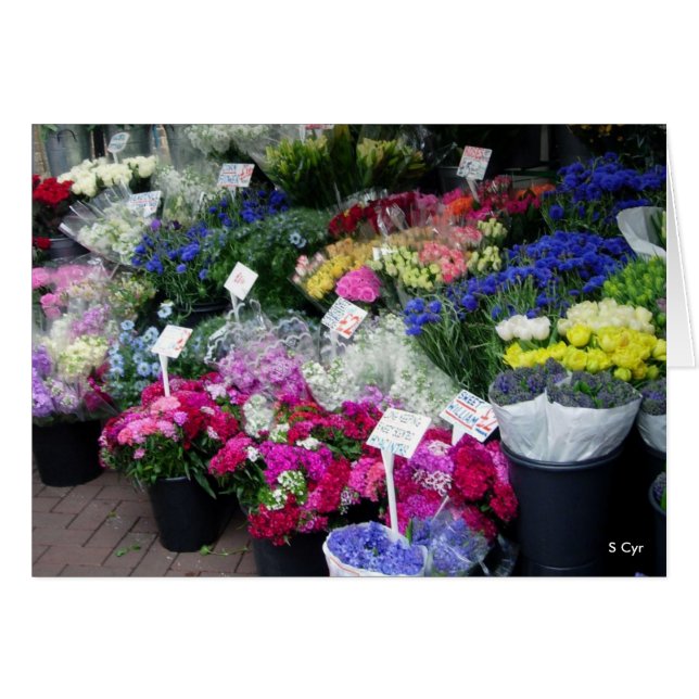 Cartão Flores Para Venda, S Cyr (Frente Horizontal)