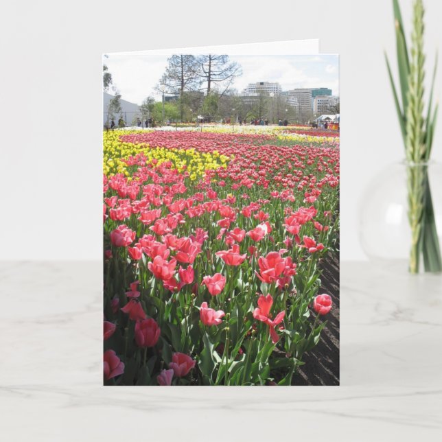 Cartão flores, pensando em você (Frente)