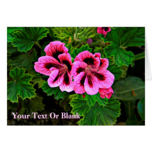 Cartão Flores Rosa 1