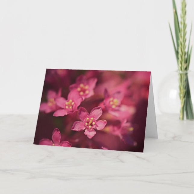 Cartão Flores Rosa Bonitas (Frente)