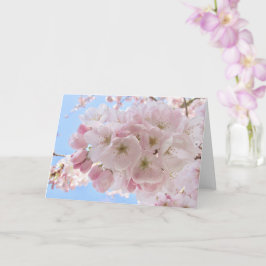 Cartão Flores Rosa Céu Azul