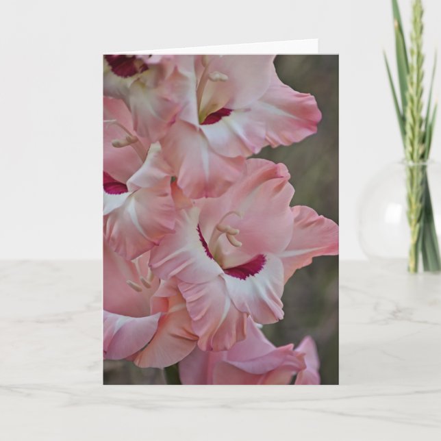 Cartão Flores rosa de Placa de Nota de Arte Gladiolus (Frente)