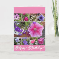 Flores Rosa Rosa Floral Petunia Daisy Birthday