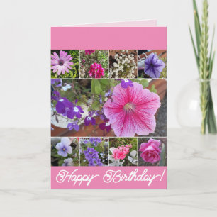 Cartão Flores Rosa Rosa Floral Petunia Daisy Birthday