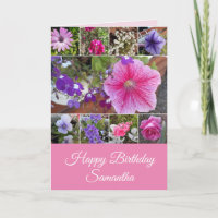 Flores Rosa Rosa Floral Petunia Daisy Birthday Ca