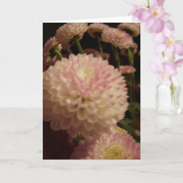 Cartão Flores Rosa Zinnia