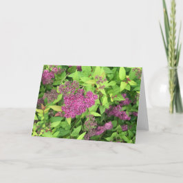 Cartão Flores roxas