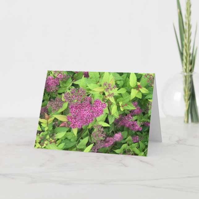 Cartão Flores roxas (Frente)