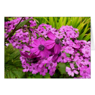 Cartão Flores Roxas de São Francisco