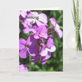 Cartão Flores Roxas Pensando em Você