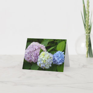 Cartão Flores roxas rosa elegantes Hydrangeas