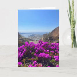 Cartão Flores Roxas Santorini Grécia Fotografia