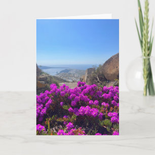 Cartão Flores Roxas Santorini Grécia Fotografia