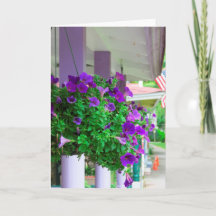 Flores Roxas - Vinha de Martha