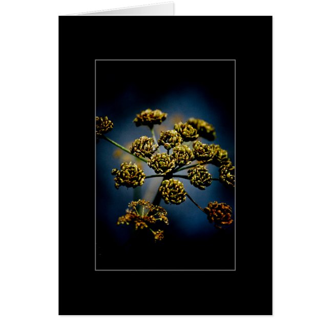 Cartão Flores Scented (Frente)