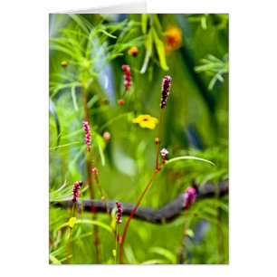 Cartão Flores selvagens