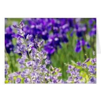 Cartão Flores selvagens