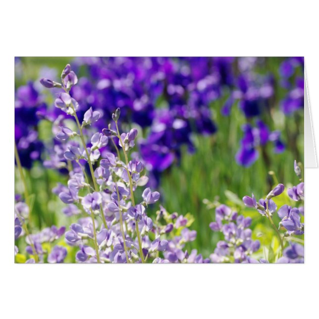 Cartão Flores selvagens (Frente horizontal)