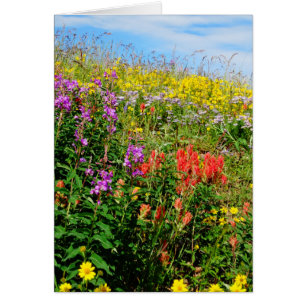 Cartão Flores selvagens das Montanhas Rochosas