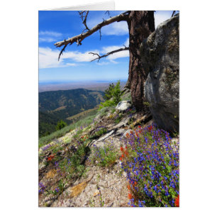 Cartão Flores selvagens de Idaho