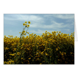 Cartão Flores silvestres