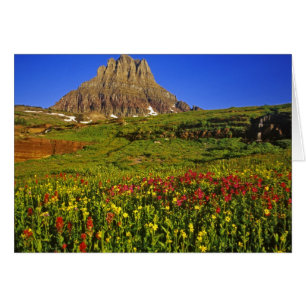 Cartão Flores silvestres alpinas em Logan Pass no Glaciar