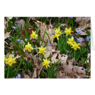 Cartão Flores silvestres amarelas