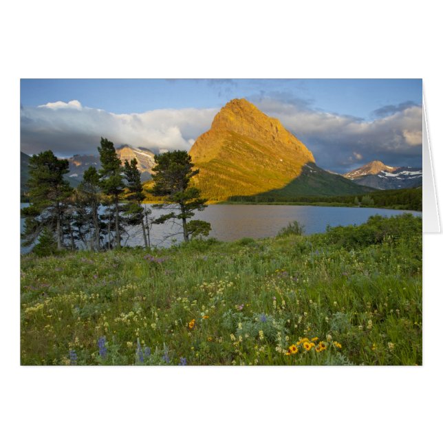 Cartão Flores silvestres ao longo do Lago Swiftcurrent no (Frente Horizontal)