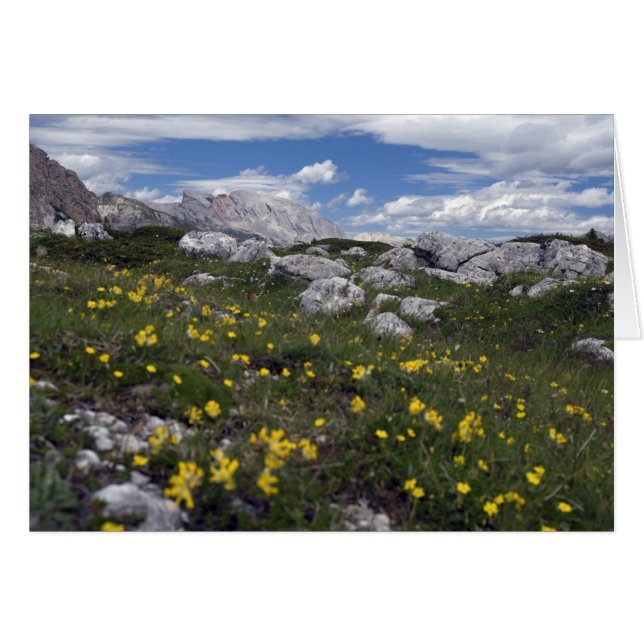 Cartão Flores silvestres Dolomite (Frente Horizontal)