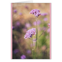 Flores silvestres rosa