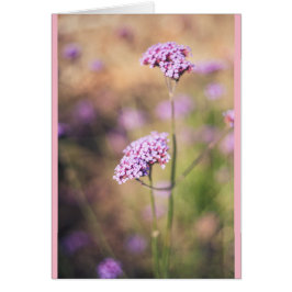 Cartão Flores silvestres rosa