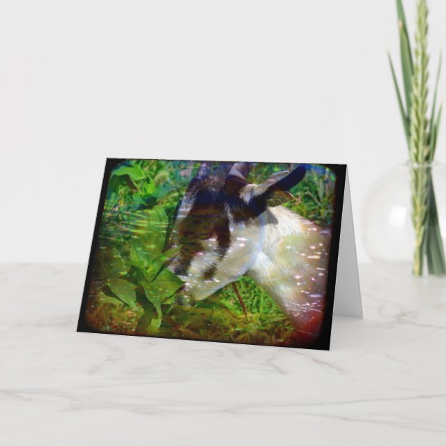 Cartão Flores também são Comidas (Frente)