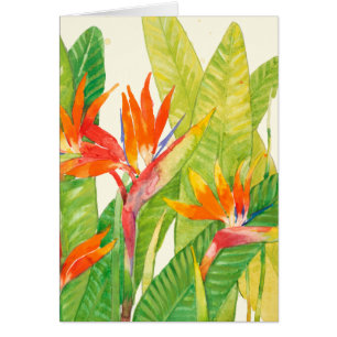 Cartão Flores Tropicais Ave de Paraíso