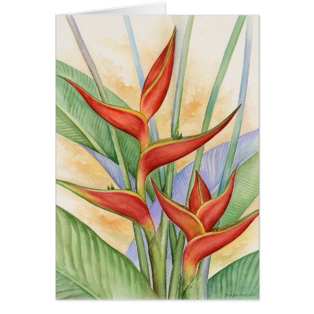 Cartão Flores tropicais vermelhas de Heliconia que pintam (Frente)