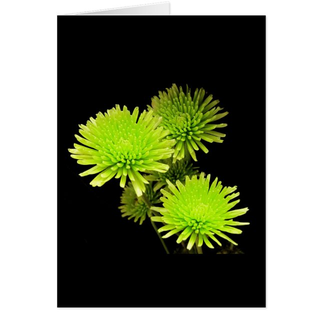 Cartão Flores Verdes (Frente)