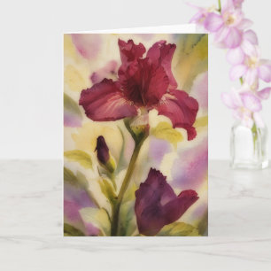 Cartão Flores Vermelhas Escuras Iris Jardim Arte Nota