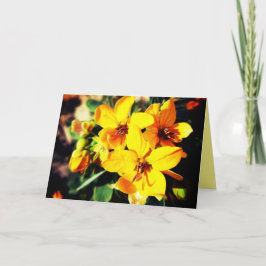 Cartão Flores Vibrantes