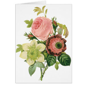 Cartão Flores Vintage, Anemone Rosas Clematis por Redoute