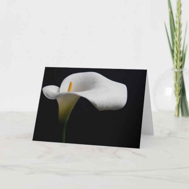 Cartão Flores | White Calla Lily (Frente)