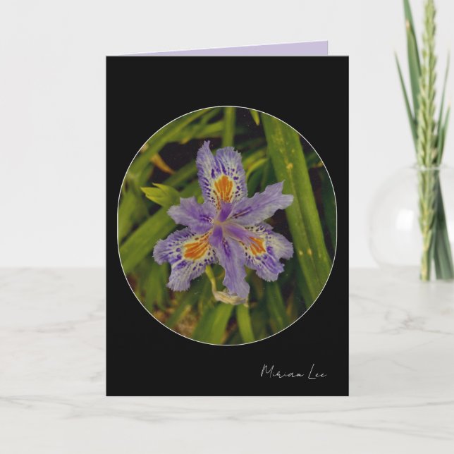 Cartão florescer em roxo (Frente)