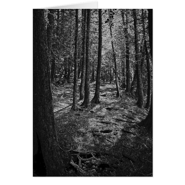 Cartão Floresta abstrato (Frente)