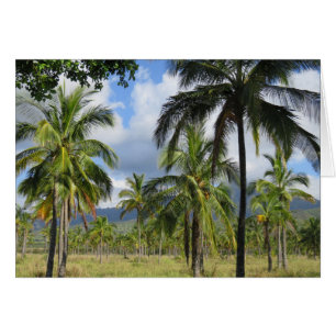 Cartão Floresta da palma de coco