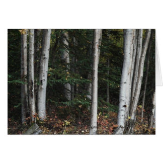 Cartão Floresta das Árvores por Logan Guinn