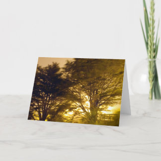 Cartão floresta das fúria