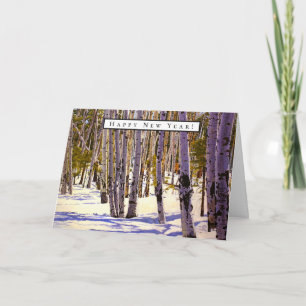 Cartão Floresta de Árvore Aspen em Flagstaff, AZ