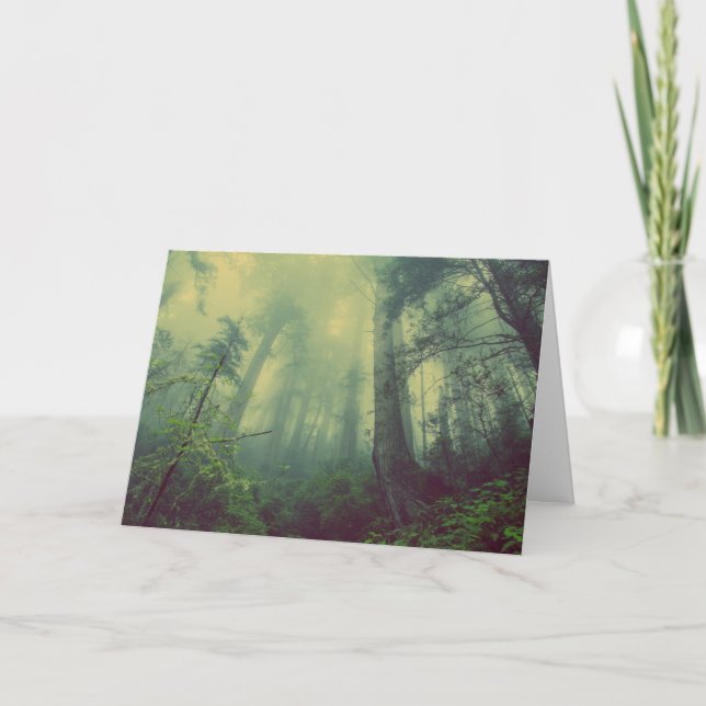 Cartão Floresta De Baixo (Frente)